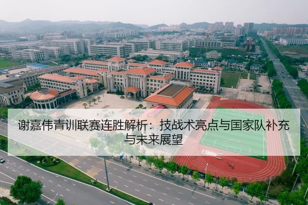 谢嘉伟青训联赛连胜解析：技战术亮点与国家队补充与未来展望